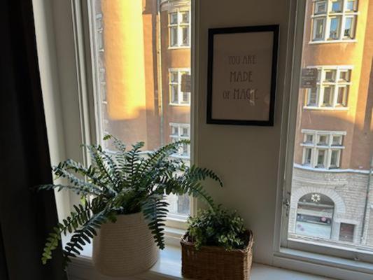 公寓 Loft Haven 3 Beds In A 1- Bedroom Gem - 917
